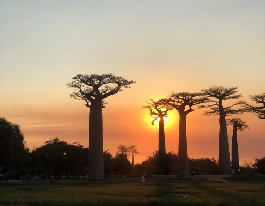 WhatsApp Image 2026-03-05 at 3.0.01 PM (1)